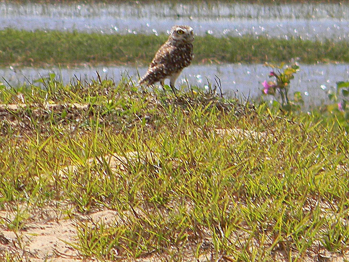 Pousada Tres Lagoas Luis Correia Exteriér fotografie